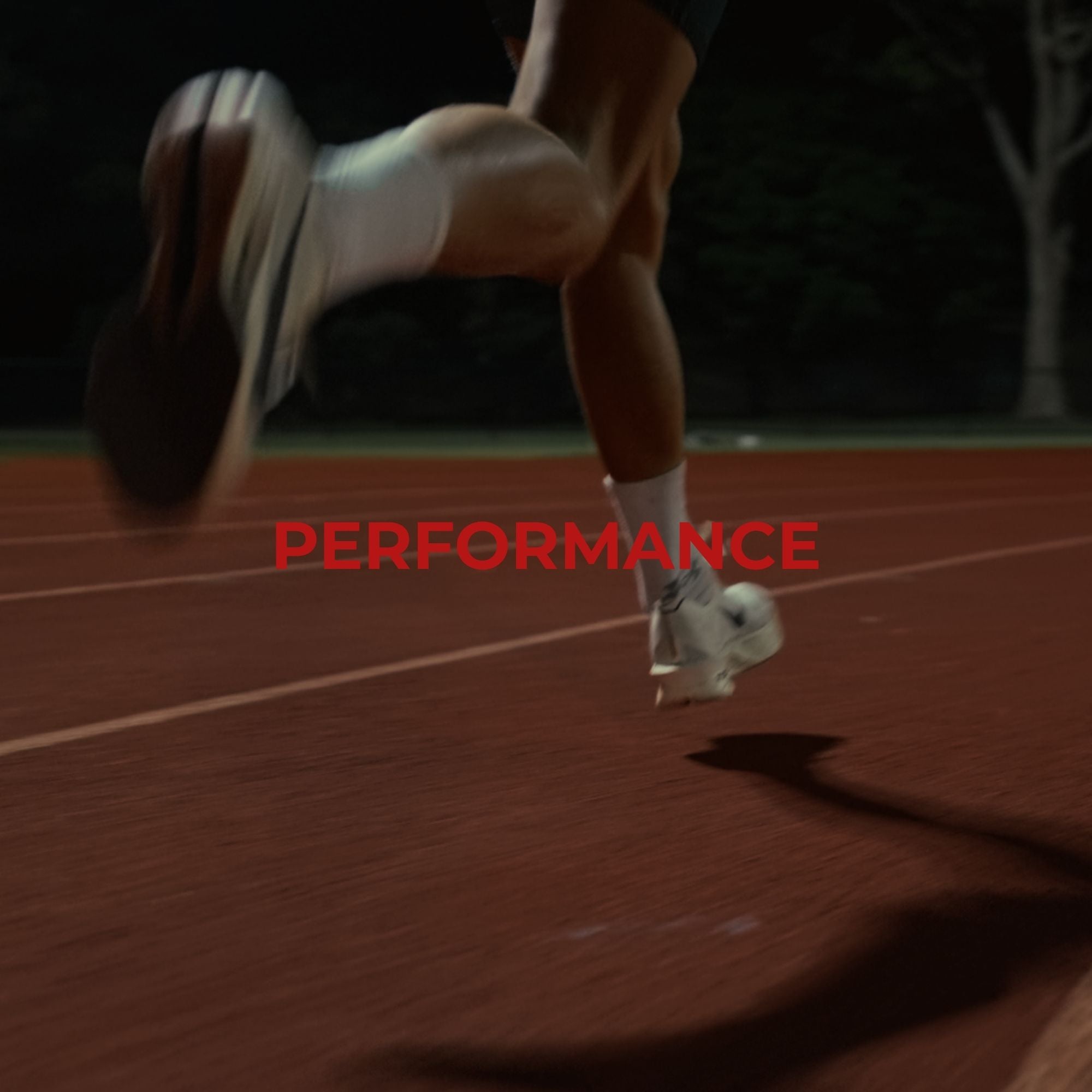 'Performance' Hybrid Program